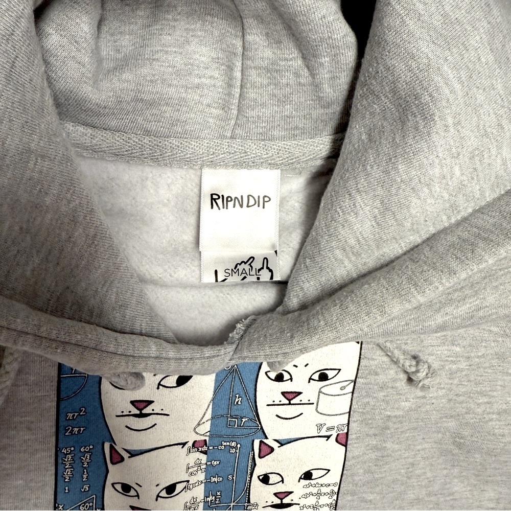 RIPNDIP Memory Bank Hoodie Sweatshirt Ash Heather Gray Grey Math Equations Cat - Picture 3 of 4